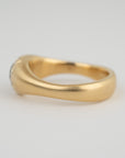 Luminous Cloud Ring