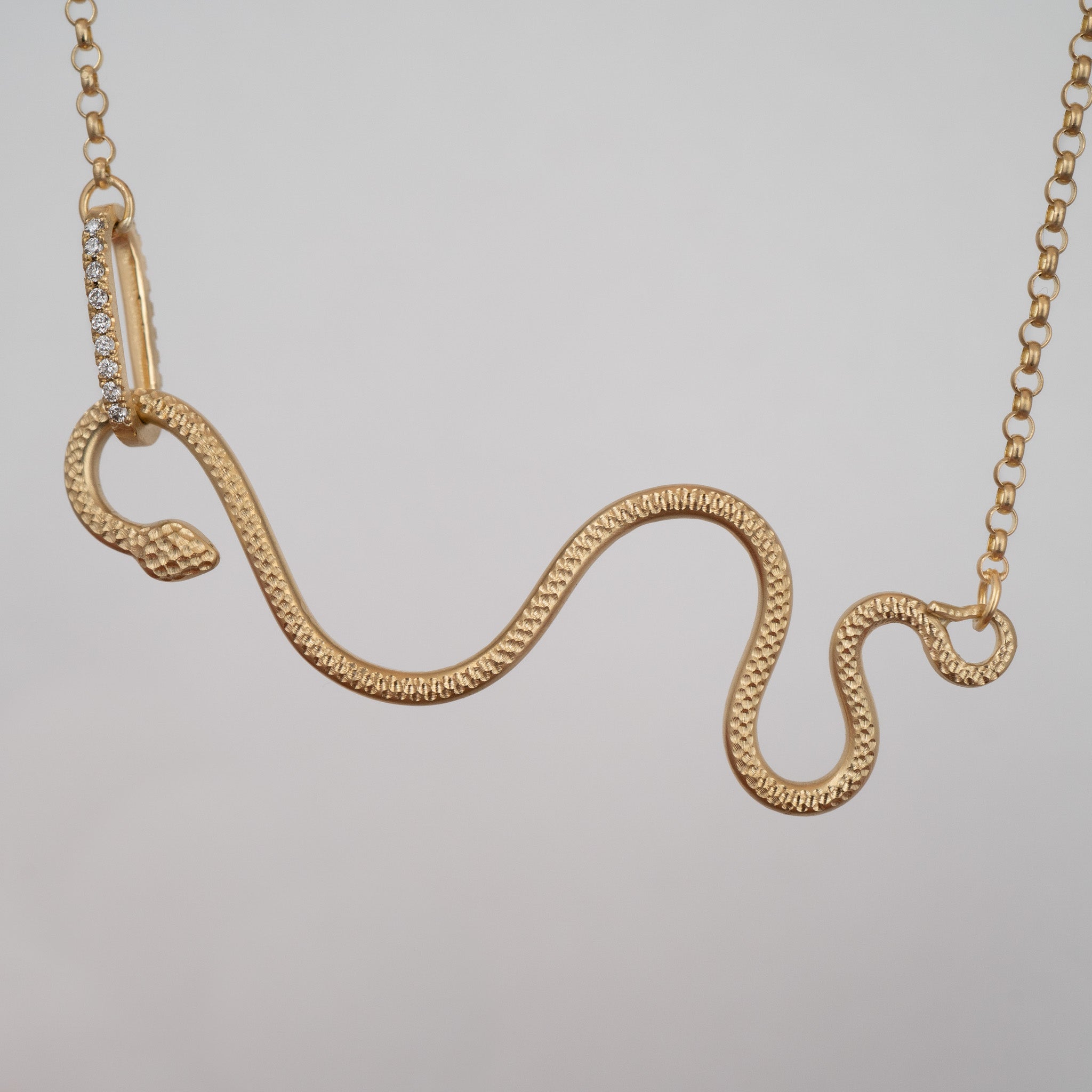 Snake Hook Necklace