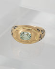 Western Sky Signet
