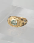 Western Sky Signet